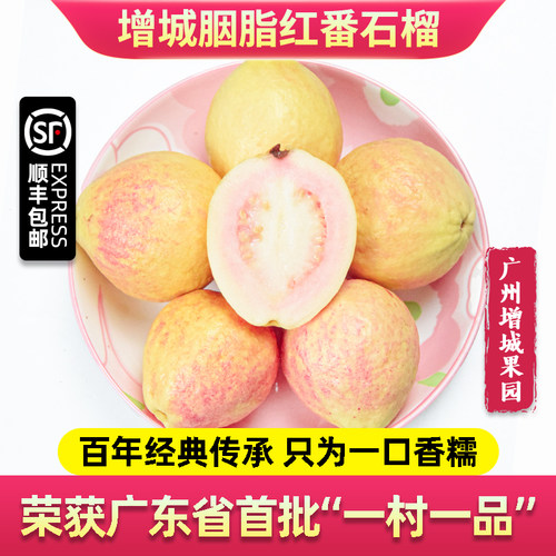 广州增城胭脂红芭乐当季新鲜水果