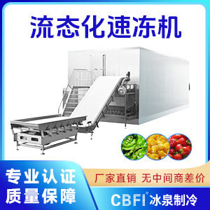 CBFI卧式单冻机流态化速冻机洋葱圈小酥肉隧道速冻机厂家直销