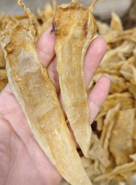 小金龙鱼胶黄花胶滋养煲汤鱼胶