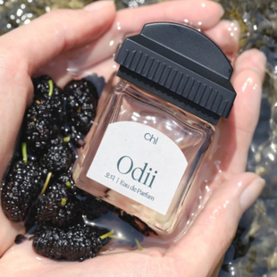 韩国chwi香水竹子寺庙艾蒿花园桑葚水墨植物自然淡香水试香小样