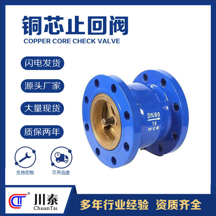 成都不锈钢铜芯止回阀批发消声法兰立式逆止阀HC41X管道厂家现货