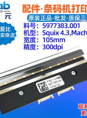 CAB Squix4.3 Mach4.3S 300dpi打印头5977383.001 5977321热敏头
