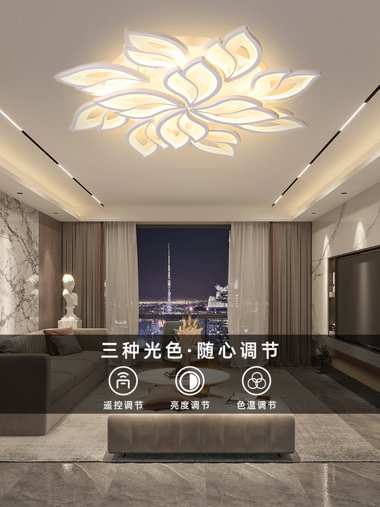 现代简约客厅吸顶灯花瓣创意北欧卧室2026年新款灯具组合全屋套餐