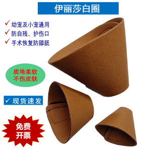 伊丽莎白圈松鼠花枝鼠仓鼠防咬圈