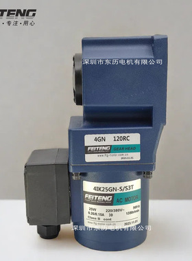 FTG飞腾电机4IK25GN-S/S3T减速机4GN120RC GEAR HEAD FEITENG马达