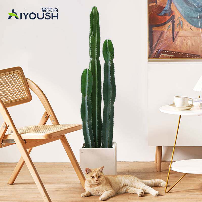 爱优尚量天尺仙人柱盆栽办公室内客厅落地植物北欧大型多肉仙人掌
