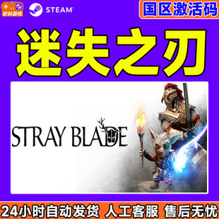 steam 国区激活码 迷失之刃 Blade CDKey Stray PC中文正版