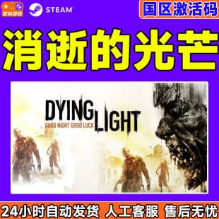 消逝的光芒1信徒增强版  Steam游戏 PC中文正版 国区激活码CDKey