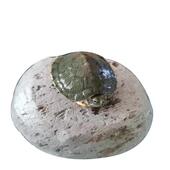 磁悬浮龟晒台吸铁石固定缸壁款 龟台手工中小缸晒背台浮石小龟爬台