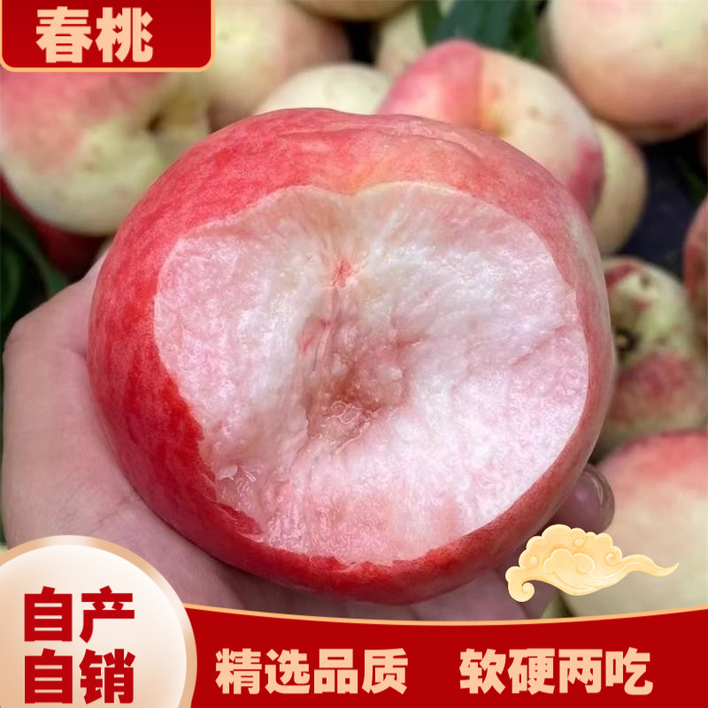 河北现摘脆甜桃子 硬脆桃子京红 久保 9号新鲜脆毛桃当季水果包邮 - 实物图