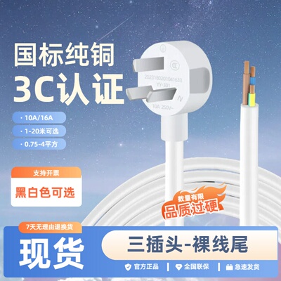 纯铜大功率10A16a国标电源线4/2.5平方三3芯电线插头带线单头裸尾