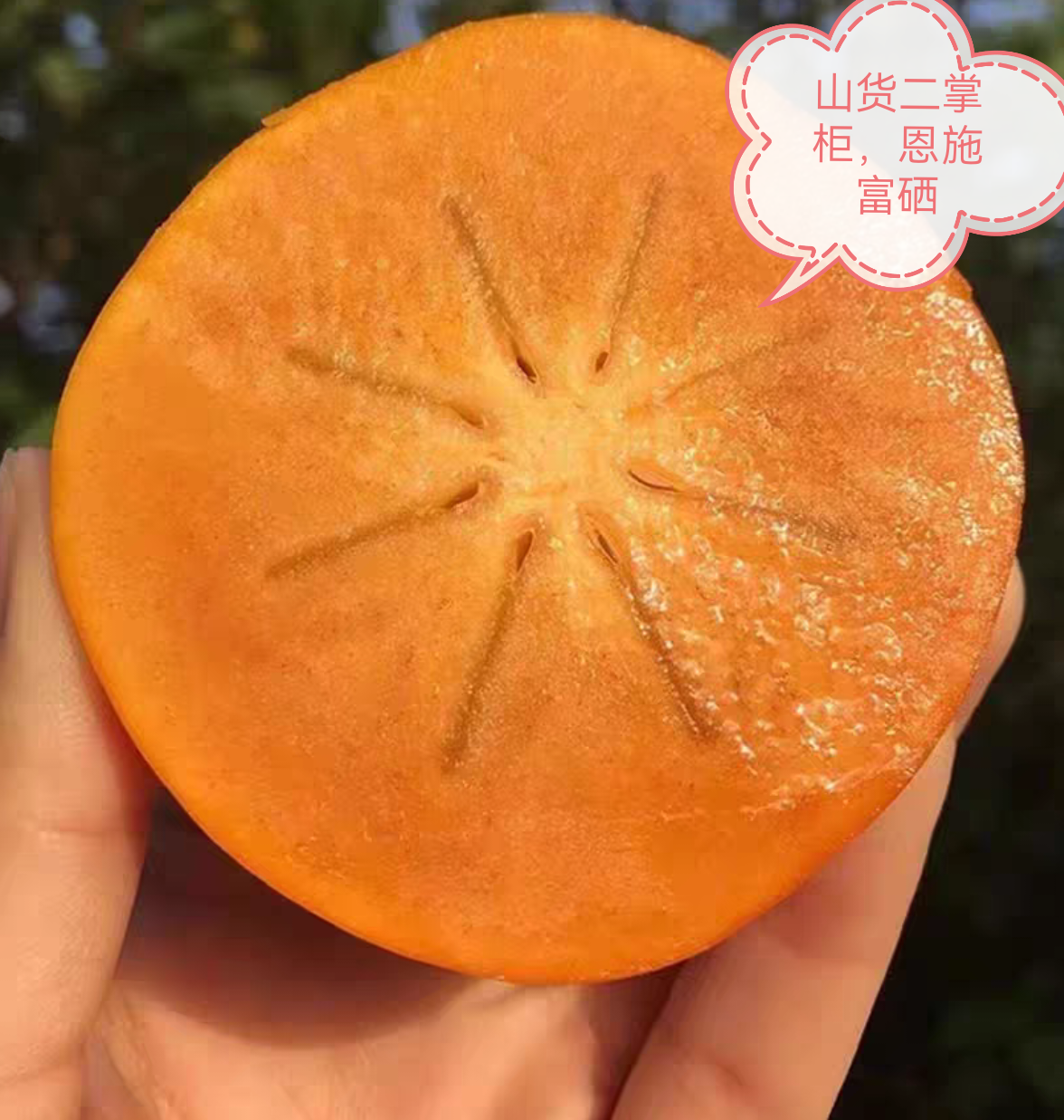 恩施脆柿子3斤水果新鲜当季整箱包邮大果黄硬甜脆火晶小柿子甜