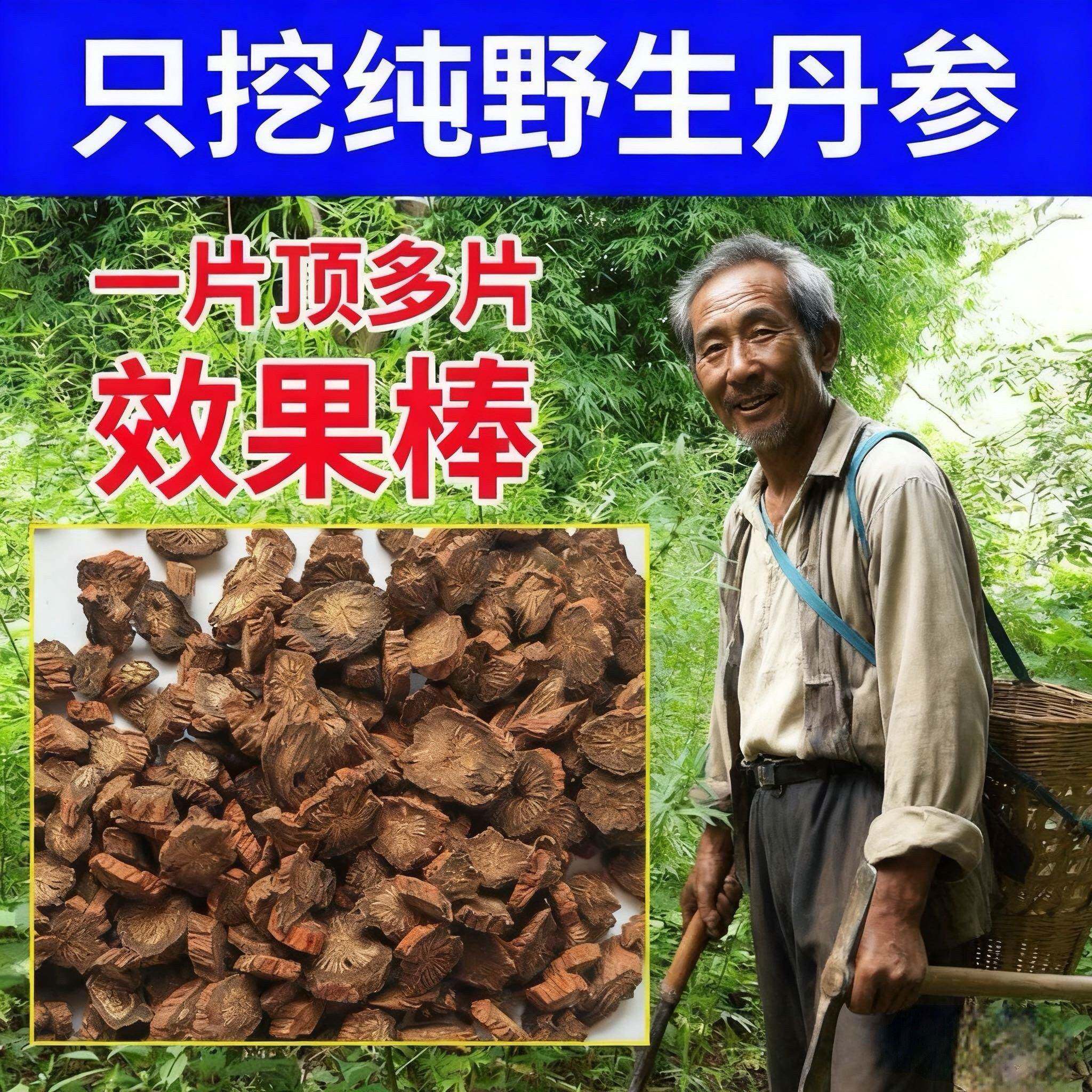 深山野生紫丹参500g中药材正品特级正宗野生无硫天然精选片可打粉