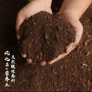 盆景风化土兰花铺面金松种花盆栽通用透气营养土风化石颗粒