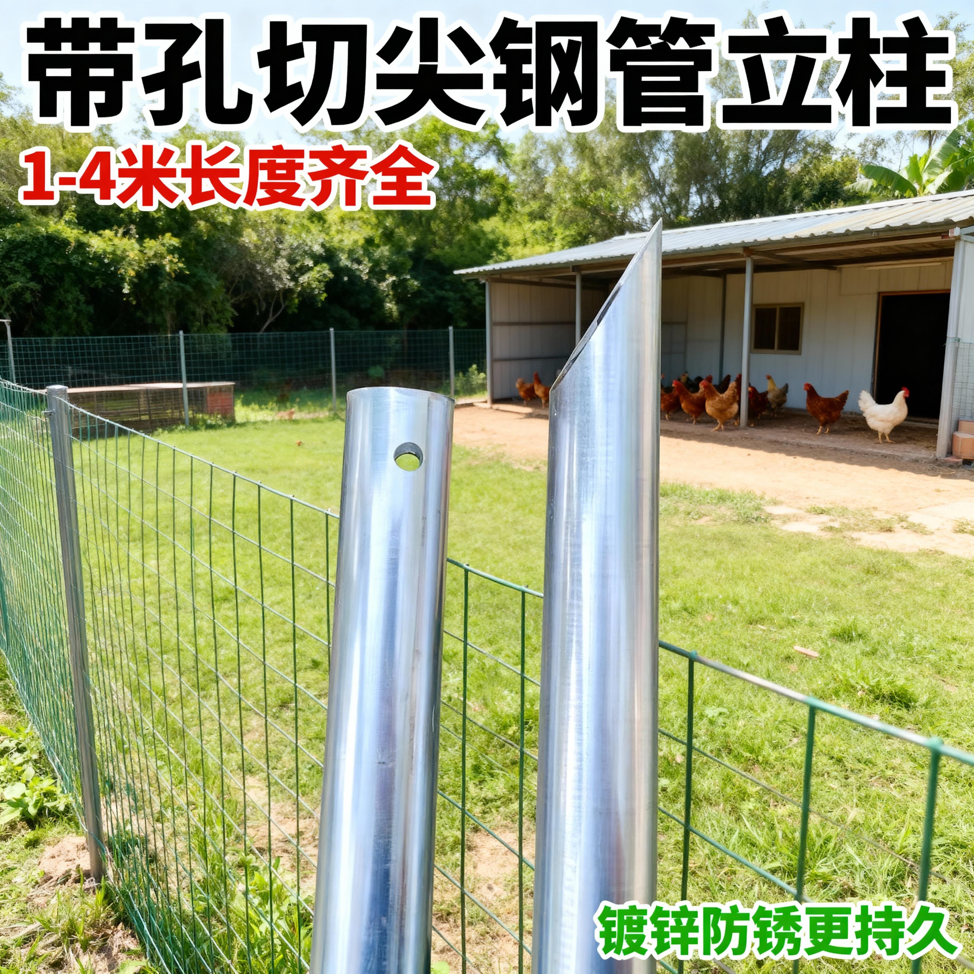 铁丝网地桩带孔铁管围栏图片
