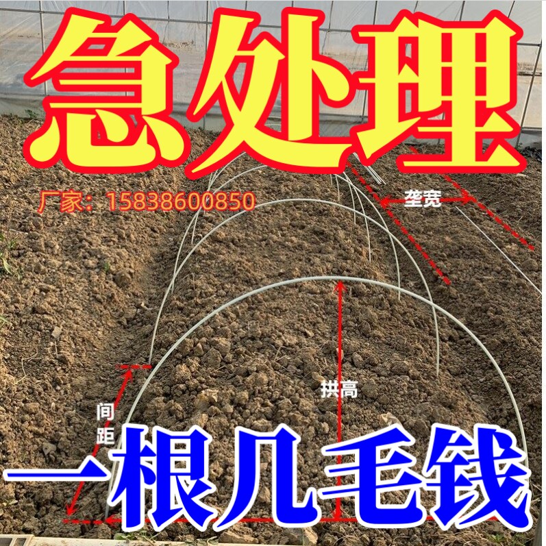 玻璃钢纤维支架防冻种植菜棚拱杆小型新型拱棚弓子菜地套棚支撑条