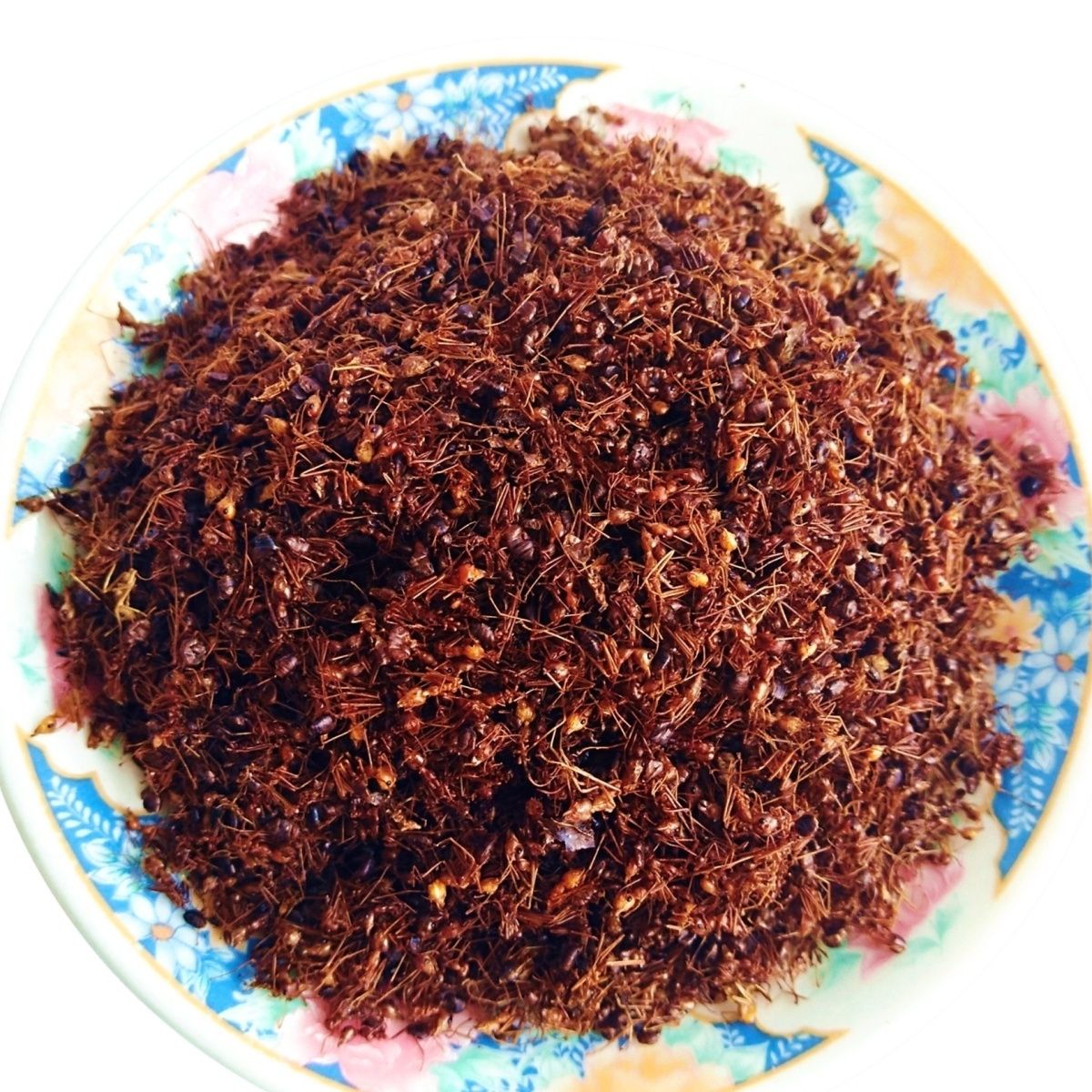 红蚂蚁 东北长白山红蚂蚁黑蚂蚁红蚂蚁 蚂蚁8-9干支持验货