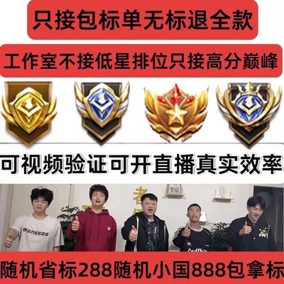 王者荣耀代练大小国标金标代打排位巅峰赛英雄战力百星省标小魔方