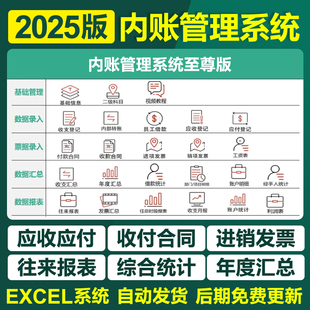 20245新内账管理系统Excel表格企业财务出纳记账收支登记应收应付