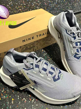 Nike耐克Pegasus Trail 5 GORE-TEX灰色户外越野跑步鞋FQ0908-006