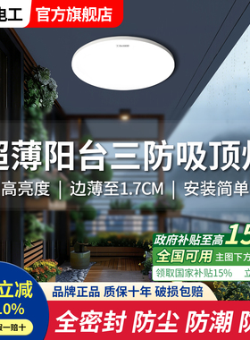 国际电工室外阳台三防led吸顶灯2025新款屋檐专用防虫防水小尺寸