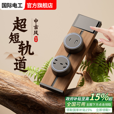 国际电工复古黑胡桃木纹轨道插座