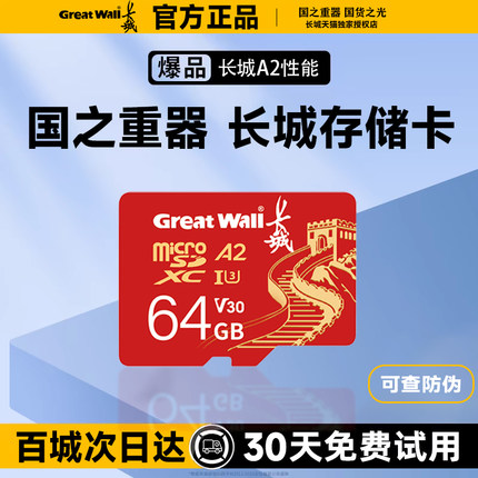 长城存储卡256G行车记录仪TF内存卡高速监控摄像头游戏机相机SD卡