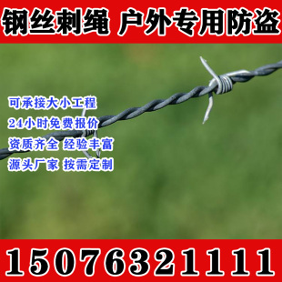 吉林刺绳铁丝网铁蒺藜带刺围栏防爬刺防盗刺墙上户外钢丝网加粗超