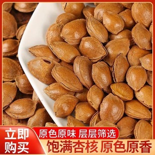 新疆小白杏坚果新货开口杏仁轮台小白杏核奶香味500g原味无添加