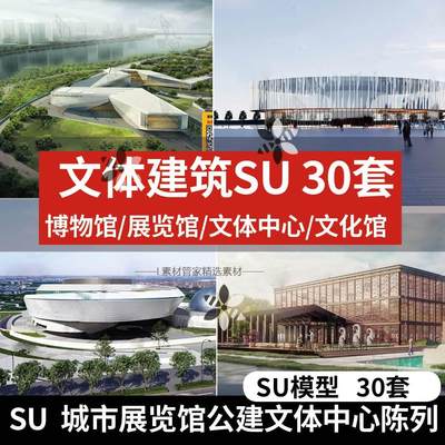 公共建筑文体中心展览馆SU模型现代城市展览馆博物馆图书馆艺术馆