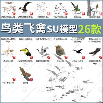 飞鸟鸟类鸟群鹦鹉火烈鸟蝙蝠老鹰孔雀飞禽水鸟树枝小鸟SU模型素材