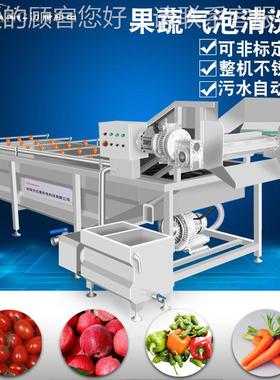 厂LSX应山供药清洗机家 用大枣清洗设备 全自动太子参清洗商流水