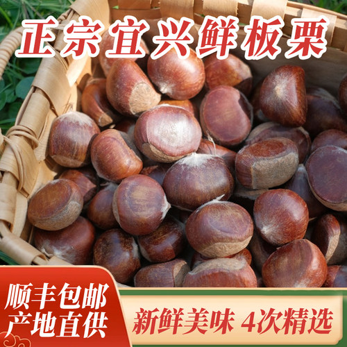 宜兴板栗宜兴山区原产地