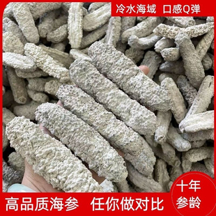 黄玉参澳洲进口野生海参淡干黄肉参深海白刺参猪婆参酒店滋补品