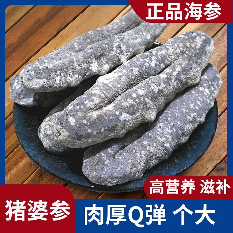 澳洲猪婆参进口野生海参深海纯淡干 产地源货干货批发酒店食材