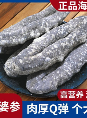 澳洲猪婆参进口野生海参深海纯淡干 产地源货干货批发酒店食材