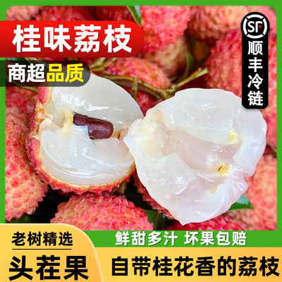 广东茂名桂味荔枝 新鲜采摘当季白糖妃子糯米笑罂糍仙进挂奉绿