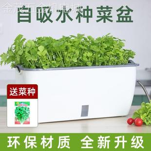 阳台种菜盆家庭蔬菜种植盆专用箱自吸水室内草莓盆栽懒人塑料 新款