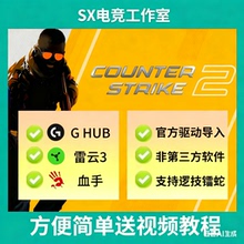 cs2罗技G系列鼠标宏压G502雷镭蛇CSGO宏枪鼠标血手G102GPW2G304