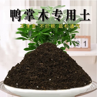 鸭掌木专用土盆栽营养土酸性培养土壤绿植园艺家用种植土有机肥料