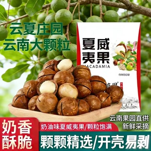 云夏庄园 夏威夷果 大颗粒 原味坚果 新鲜采摘 奶香酥脆 开壳易剥