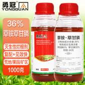 36%草铵膦草甘膦草胺磷果园林荒地除小飞蓬杂草烂根剂农药除草剂