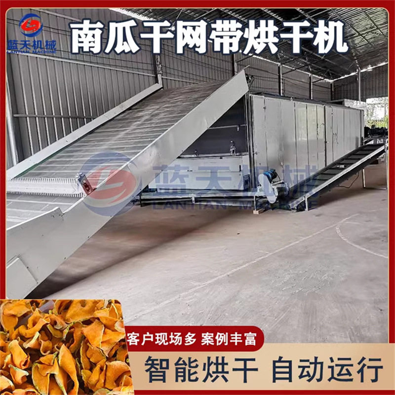 南瓜干网带烘干机 南瓜条板栗南瓜切片烘干生产线 南瓜片烘干设备