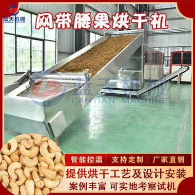 网带腰果烘干机 全自动水洗腰果坚果烘干设备 肾果树开心果干燥机