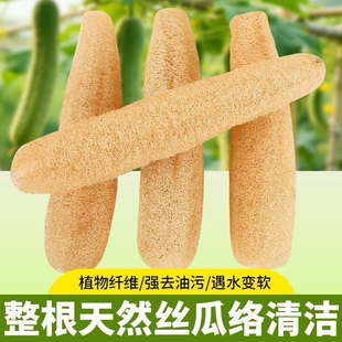 天然洗碗丝瓜络刷锅丝瓜瓤水瓜囊干丝老瓜瓢筋百洁布老式锅刷