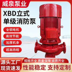 单级消火栓泵30KW室内消火栓泵55KW消防增压加压泵 定制喷淋泵立式