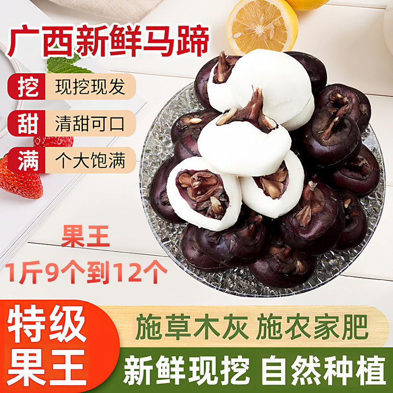 马蹄荸荠新鲜蔬菜水果特大果即食广西农家特产地栗梨饽荠火锅煲汤