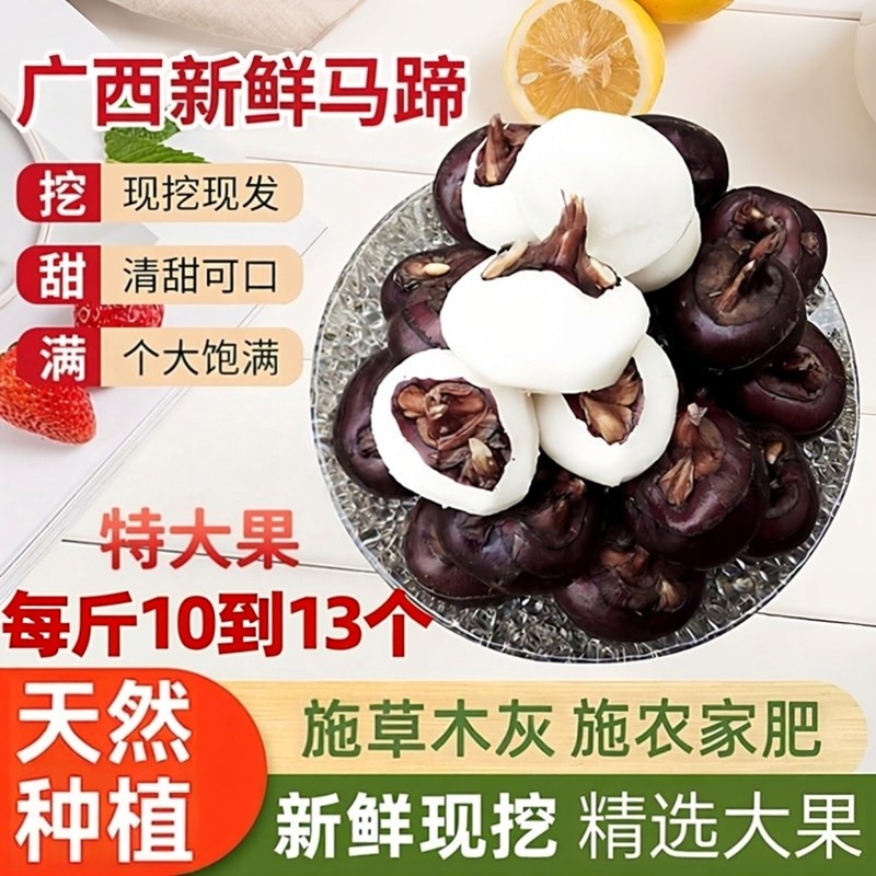 马蹄荸荠新鲜多汁水果大果即食广西农家特产地栗梨饽荠脆甜蔬菜果,水产肉类/新鲜蔬果/熟食,荸荠/马蹄,淘宝优惠券,粉丝福利购,淘宝优惠卷