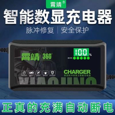 48V60V72V石墨烯充电器爱玛雅迪