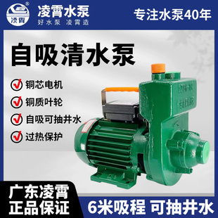 广东凌霄ZDK大流量高扬程自吸泵循环增压泵农用灌溉抽水泵清水泵